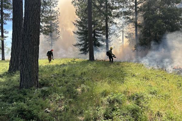 FROM GRANTS TO GROUND: DELIVERING REAL RESULTS